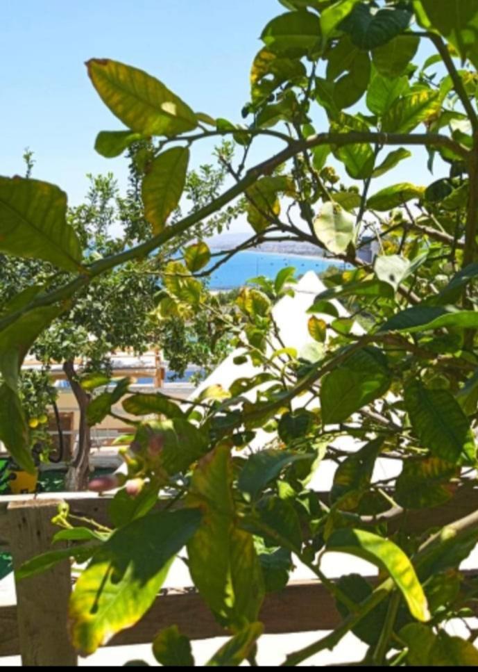 Queens Luxury Glamping Paleókasztro Kültér fotó