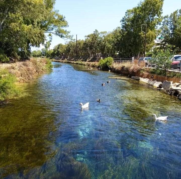 Queens Luxury Glamping Paleókasztro Kültér fotó