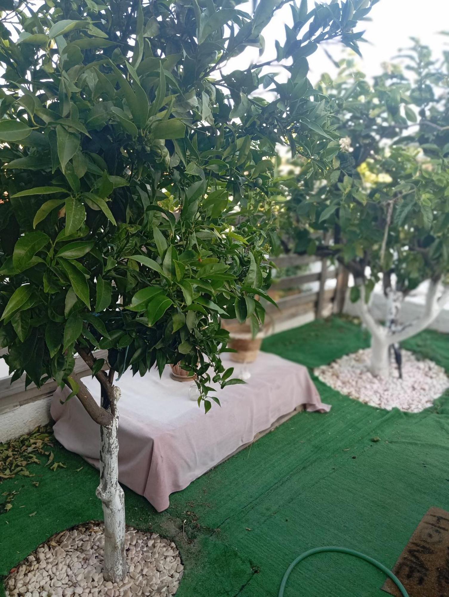 Queens Luxury Glamping Paleókasztro Kültér fotó